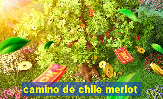 camino de chile merlot